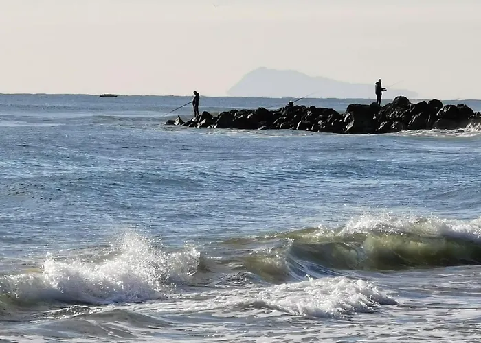 Estrella De Mar *