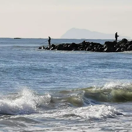 Estrella De Mar *